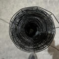 PVC Coated Galvanized Welded Wire Mesh